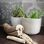 La Terrazza Di Empedocle Bed & Breakfast 3*