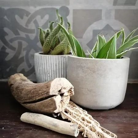 La Terrazza Di Empedocle Nocleg ze śniadaniem 3*