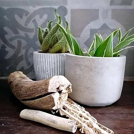 Nocleg ze śniadaniem La Terrazza Di Empedocle