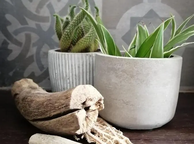 La Terrazza Di Empedocle Bed & Breakfast 3*