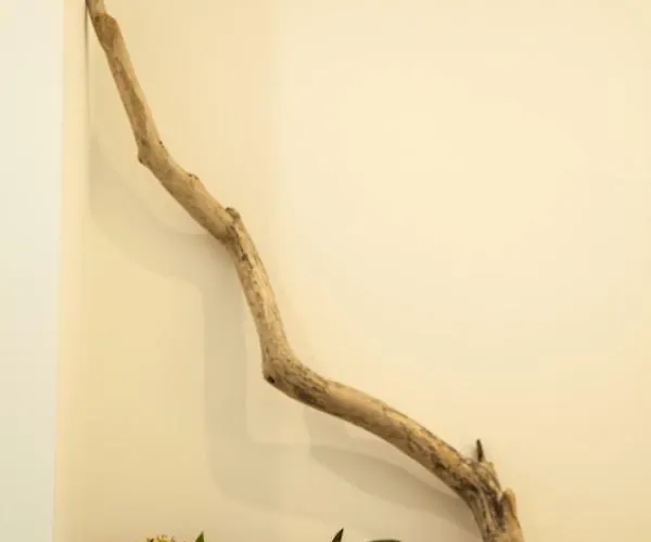 La Terrazza Di Empedocle